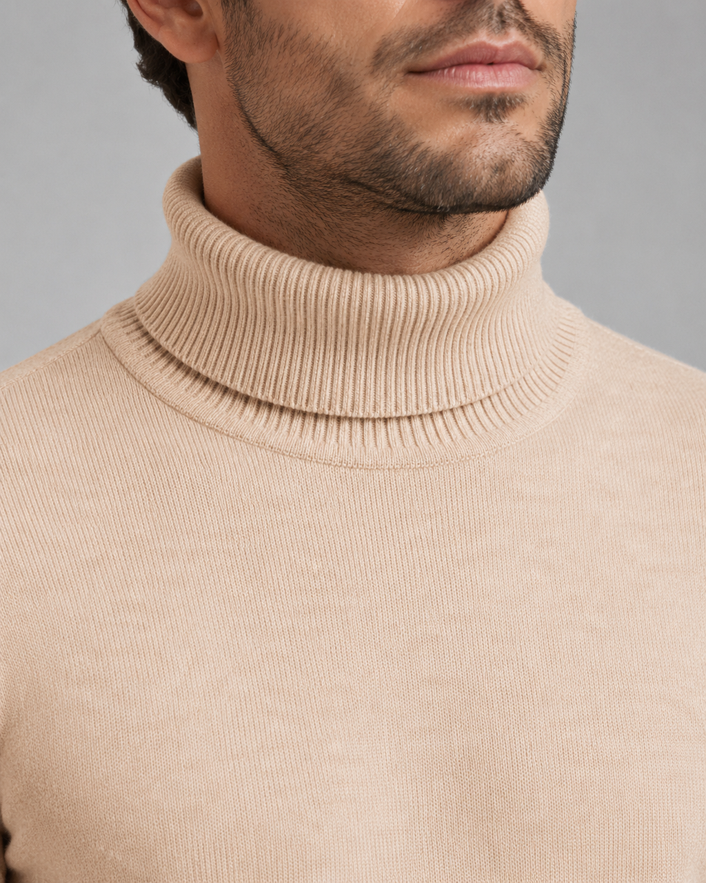 Hudson | Roll Neck Mens Knit Jumper